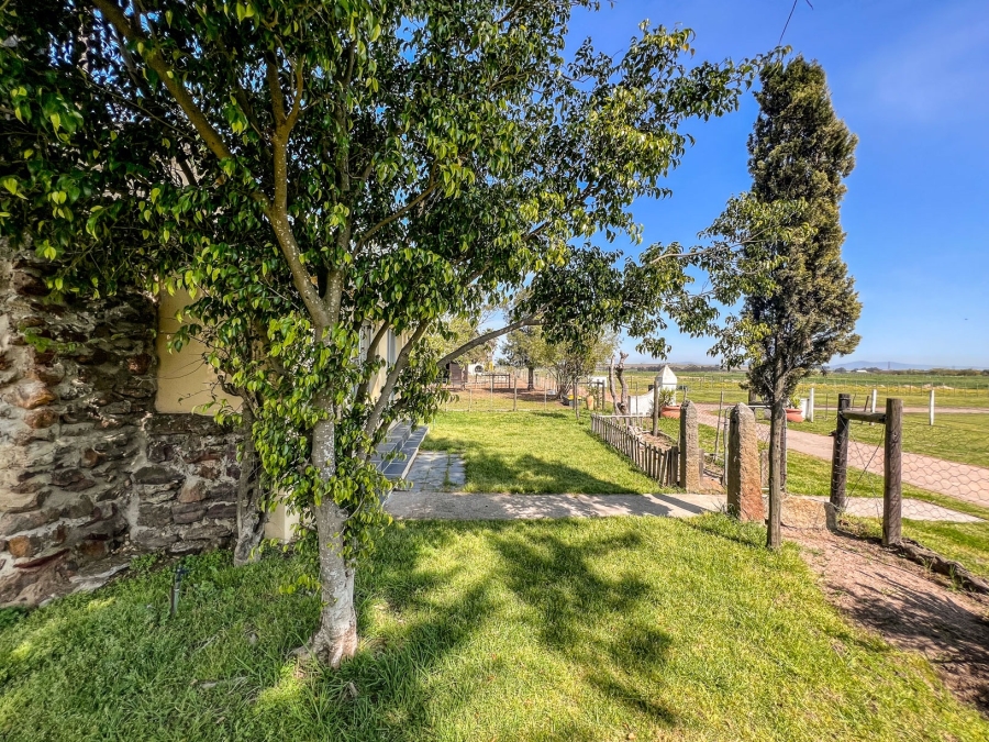 To Let 3 Bedroom Property for Rent in Stellenbosch Farms Western Cape